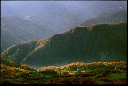 Nikon F3 hp, micro 200/4 ais, velvia 50, treppiedi