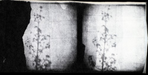 Scan-131204-0004.jpg