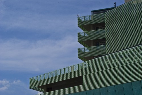DSC_6446.jpg