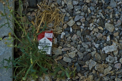 DSC_6448.jpg