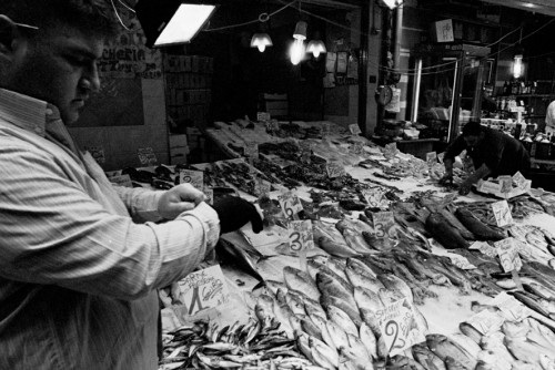 le pescherie al porto