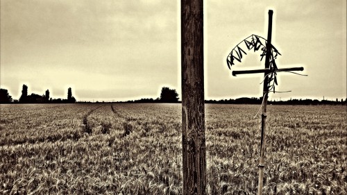 WP_20150619_021.jpg