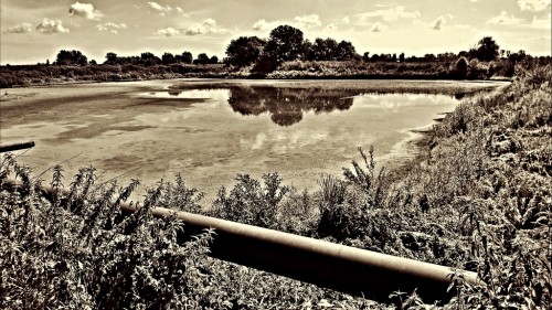 WP_20150621_039.jpg