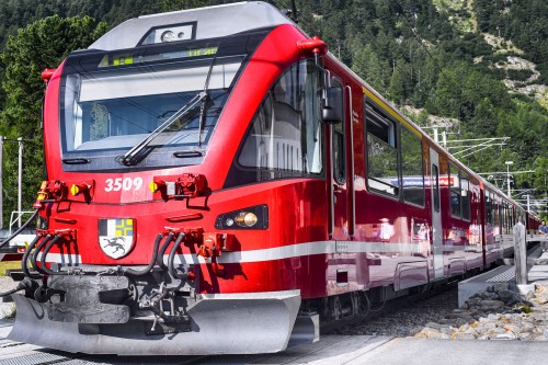 treninoBernina.jpg