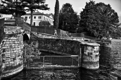 lario.jpg