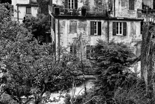 Moltrasio3.jpg