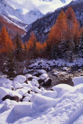 autunno.jpg