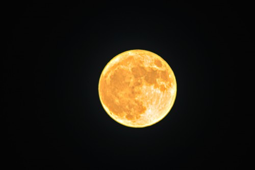 luna.jpg
