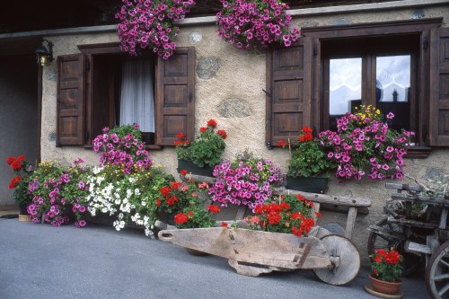 Livign.jpg
