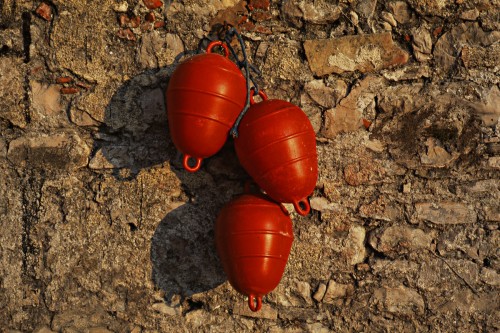 gall.jpg