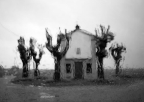 corana.w.jpg