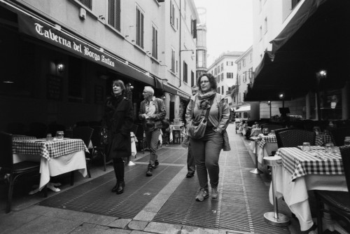 brera9.jpg