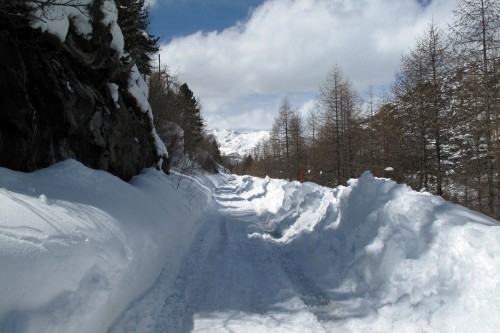 avm4.17.jpg