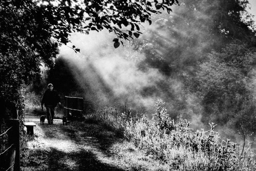 nel-bosco.jpg
