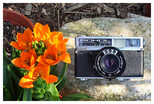 Сокол Автомат - (Sokol Automat) by Lomo  sn/7110984 Rangefinder soviet camera<br />ИНДУСТАР 70 - (Industar 70) - 1:2.8/50mm soviet lens by Lomo<br />Kodak Ultramax 400 @ 320iso (135)<br />Tetenal Colortec C41, 30 °C - tank AP Compact.<br />Epson V600