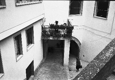 M2 summicron 50/2 - XP2