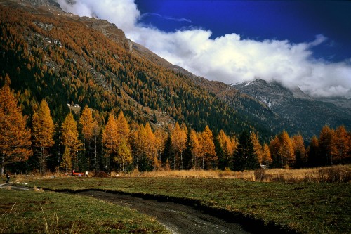 autumn.jpg