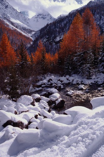 autunno.jpg