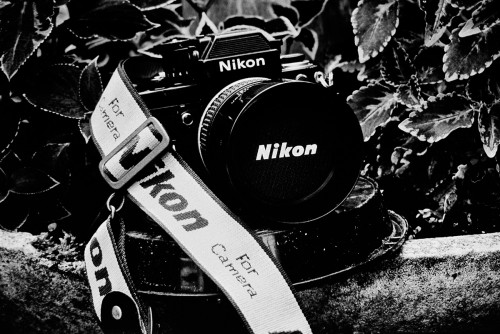 nikon.jpg