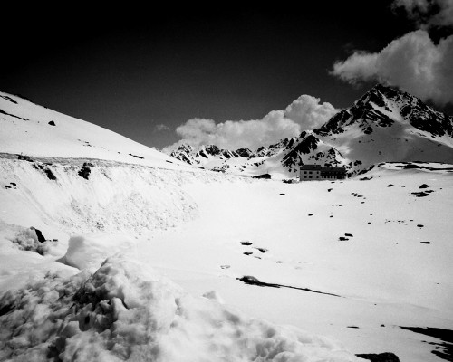 Gavia.jpg