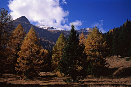 autunno5.jpg