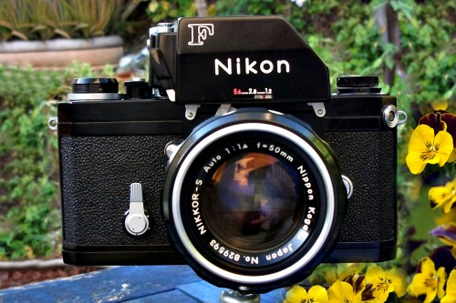 Nikon F.jpg