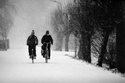 nevicata.jpg