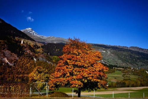 KM4.jpg