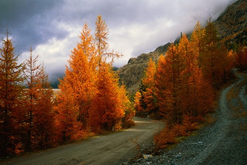 autunno2.jpg