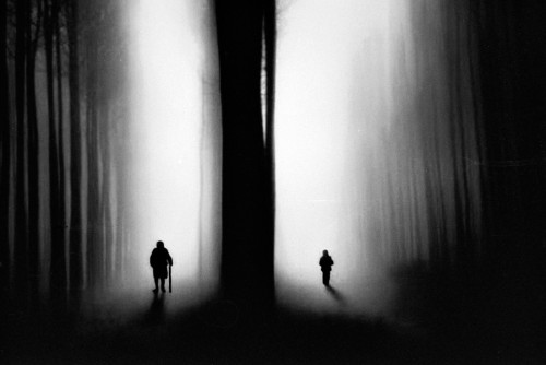 intolight.jpg