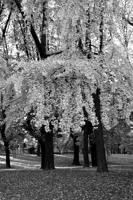 Nikkor AFD 20-35 f/2,8 a 35mm, ISO 200, 1/100, f/4.