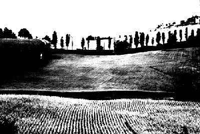 collina.pc.2.jpg