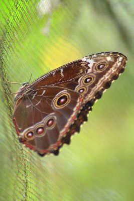 Copia di IMG_7392.JPG