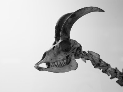 L1000176.JPG