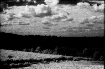 INFRARED 2007047.jpg