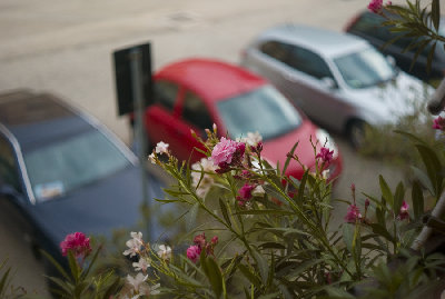 L1000012.jpg