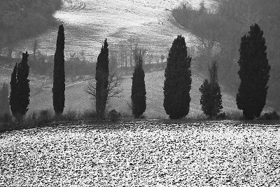 DIC2008EOS1XP21600.jpg