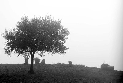 Laggiù nella nebbia.jpg