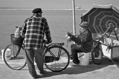 Summicron-R-50mm-2-f-8-04.jpg