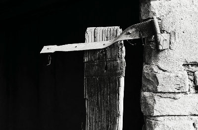 still-life-web.jpg