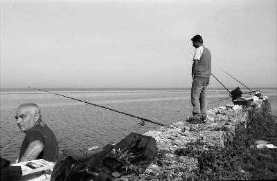 pesca1.jpg