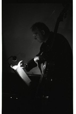 contrabasso copia.jpg