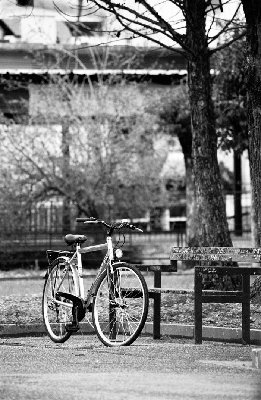 bicicletta.jpg