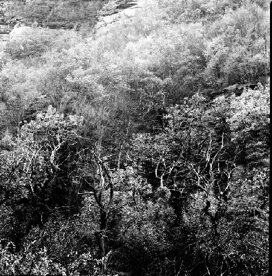 HSB-150/4-TRI X