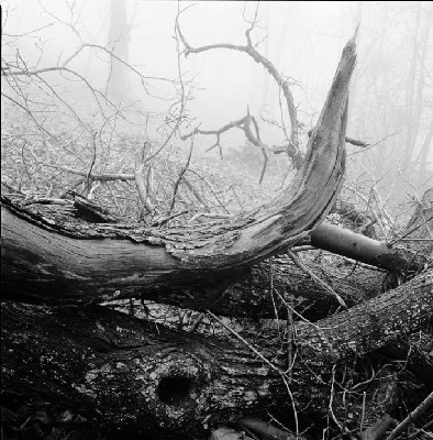 HSB-50/4-TRI X