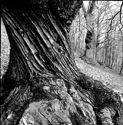 HSB-40/4-TRI X