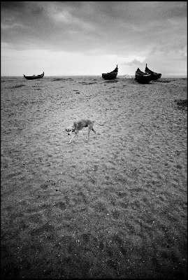 Leica M8 - Voigtlander Super Wide Heliar 15mm