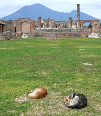 Pompei.JPG