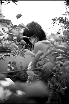Caono Eos 5d - 35mm f/1.4 L