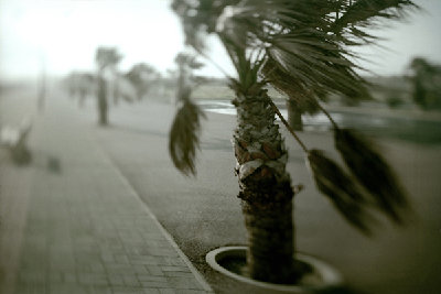 Bord de mer_07.jpg